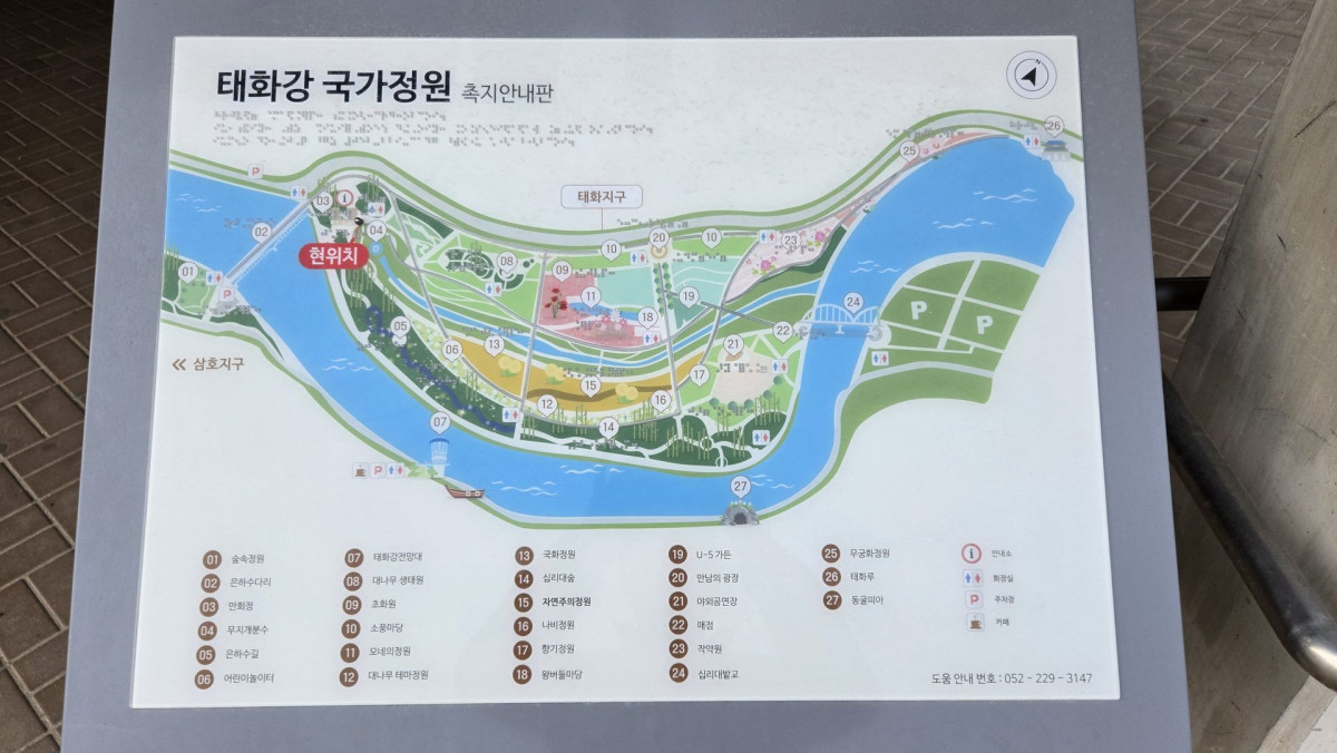 울산 태화강 국가정원 산책 | 출장 중 발견한 힐링 명소 솔직 후기 2번 사진