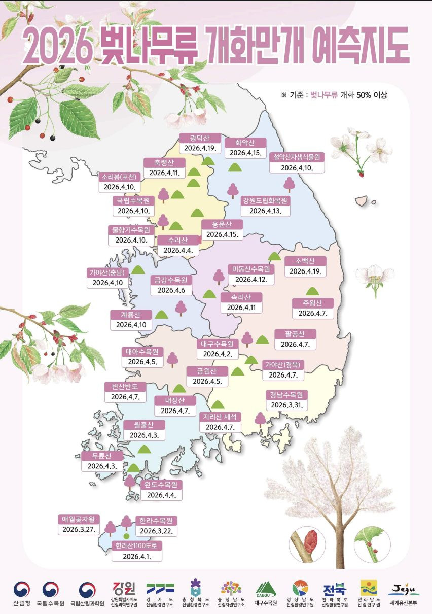 2026 국내 벚꽃 명소 총정리 | 개화시기부터 진해·경주 완벽 가이드 1번 사진