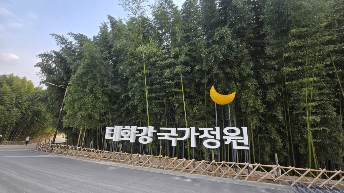 울산 태화강 국가정원 산책 | 출장 중 발견한 힐링 명소 솔직 후기 1번 사진