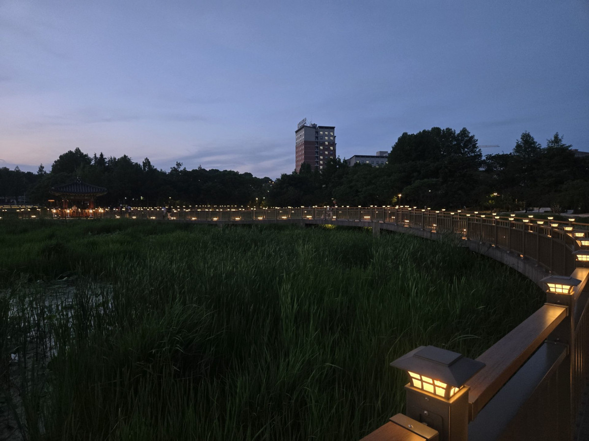 출장길에 우연히 만난 전주 덕진공원, 잊지 못할 밤의 힐링 산책! 3번 사진