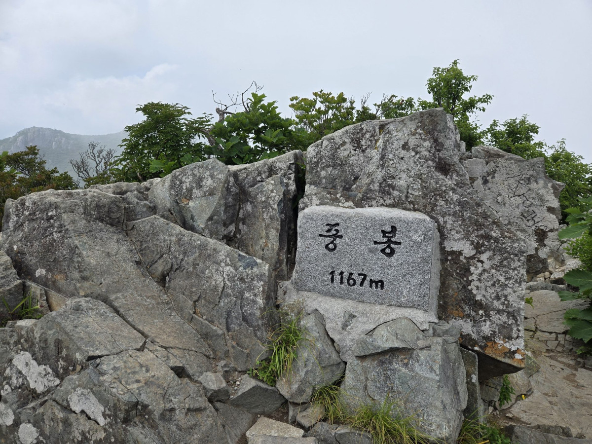 울산 출장중 가지산 등산하기 (석남터널 최단코스 후기) 14번 사진