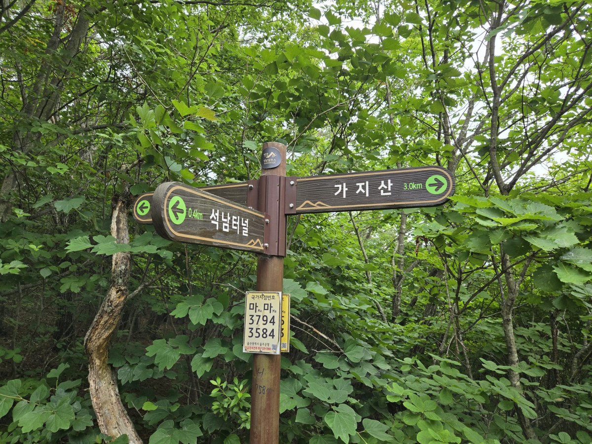 울산 출장중 가지산 등산하기 (석남터널 최단코스 후기) 6번 사진