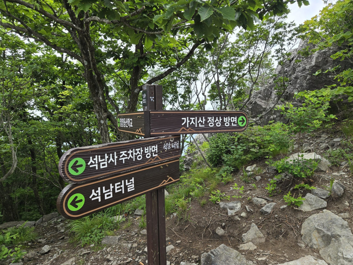 울산 출장중 가지산 등산하기 (석남터널 최단코스 후기) 13번 사진
