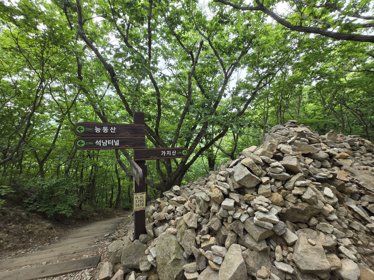 울산 출장중 가지산 등산하기 (석남터널 최단코스 후기) 7번 사진