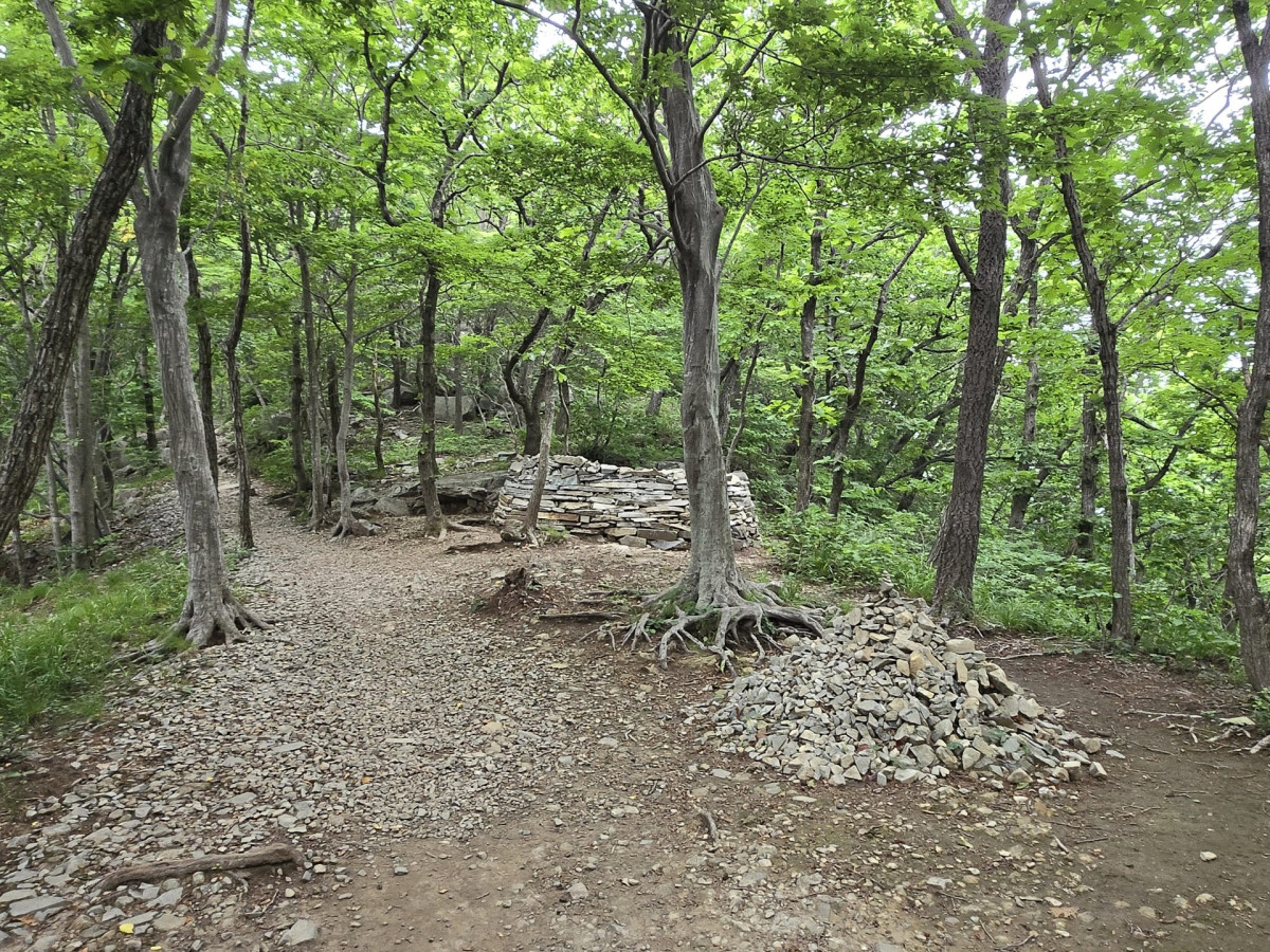 울산 출장중 가지산 등산하기 (석남터널 최단코스 후기) 8번 사진
