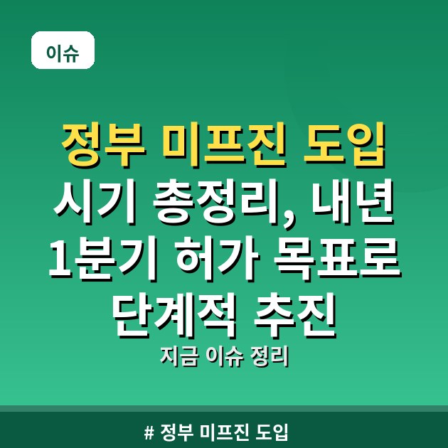 정부 미프진 도입 시기 총정리, 내년 1분기 허가 목표로 단계적 추진