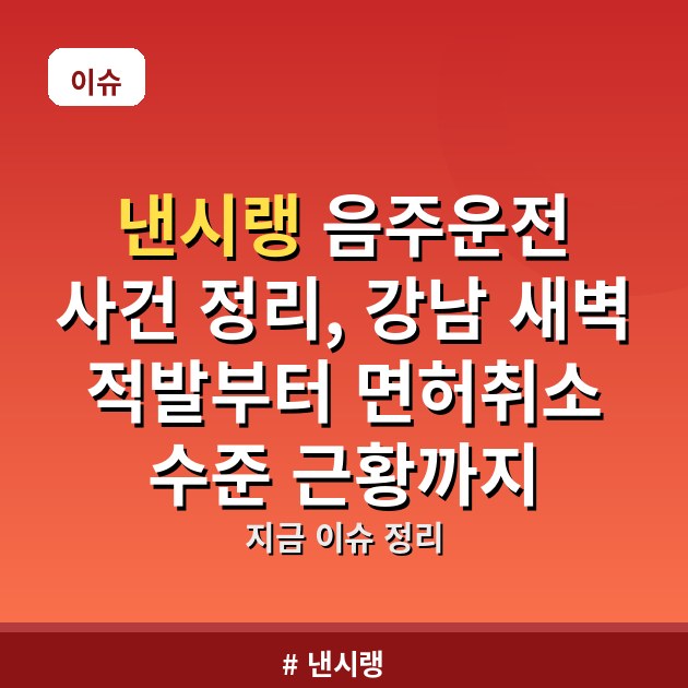 낸시랭 음주운전 사건 정리, 강남 새벽 적발부터 면허취소 수준 근황까지