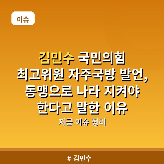 김민수 국민의힘 최고위원 자주국방 발언, 동맹으로 나라 지켜야 한다고 말한 이유