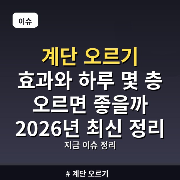 계단 오르기 효과와 하루 몇 층 오르면 좋을까 2026년 최신 정리