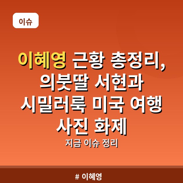 이혜영 근황 총정리, 의붓딸 서현과 시밀러룩 미국 여행 사진 화제